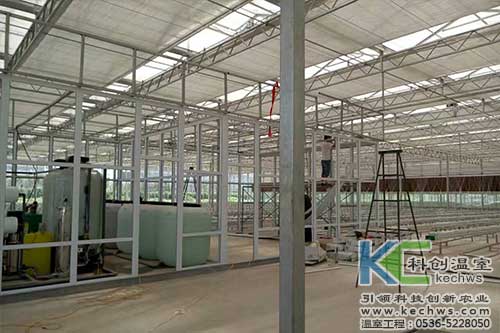 基質(zhì)栽培,無(wú)土栽培