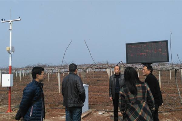無土栽培，無土栽培技術，無土栽培設備